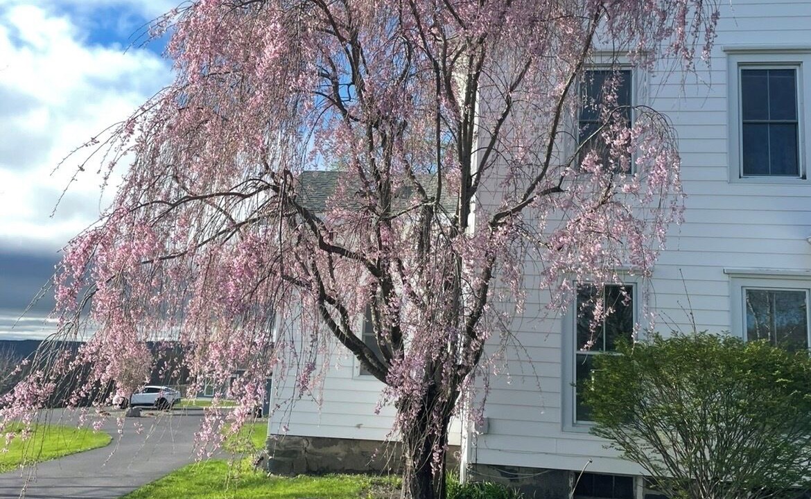 Photo of Outdoor in Bristol Hills
