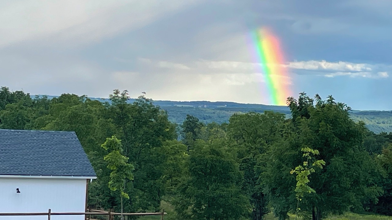 Photo of Others in Bristol Hills