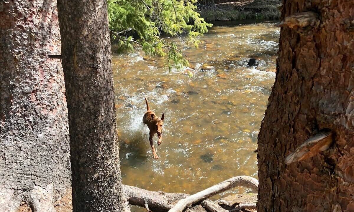 Photo of Others in Winter Park