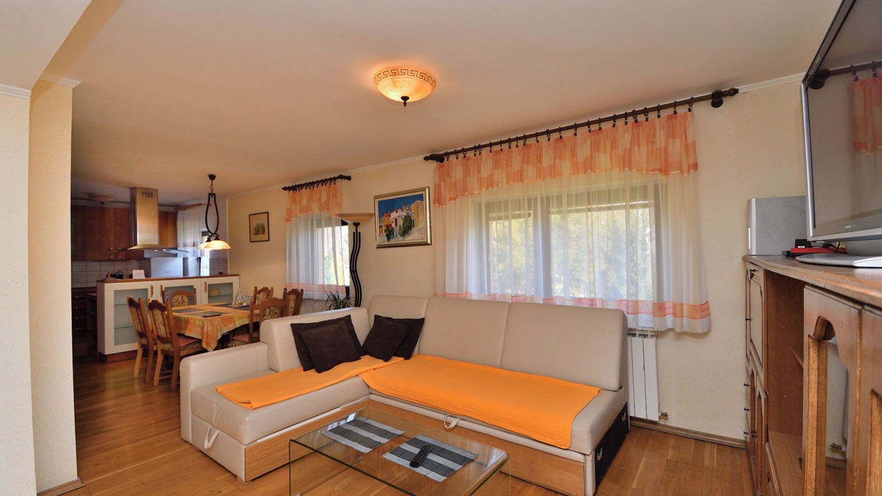 Photo of Livingroom in Fuzine