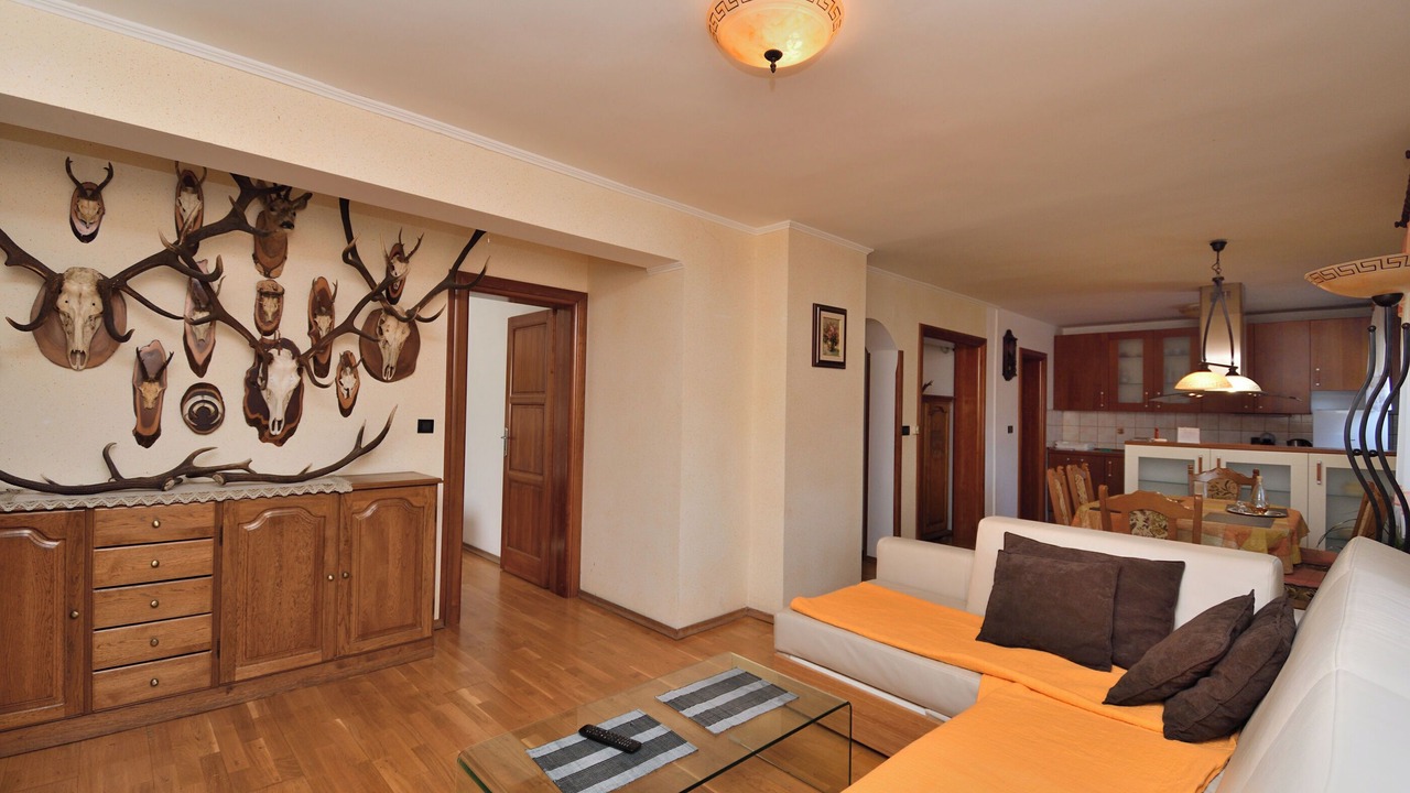 Photo of Livingroom in Fuzine