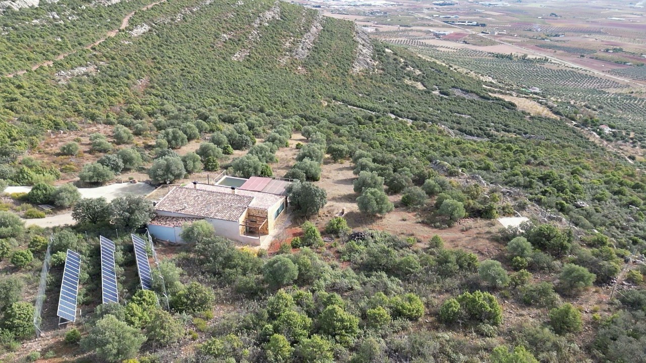 Photo of Outdoor in Los Yebenes
