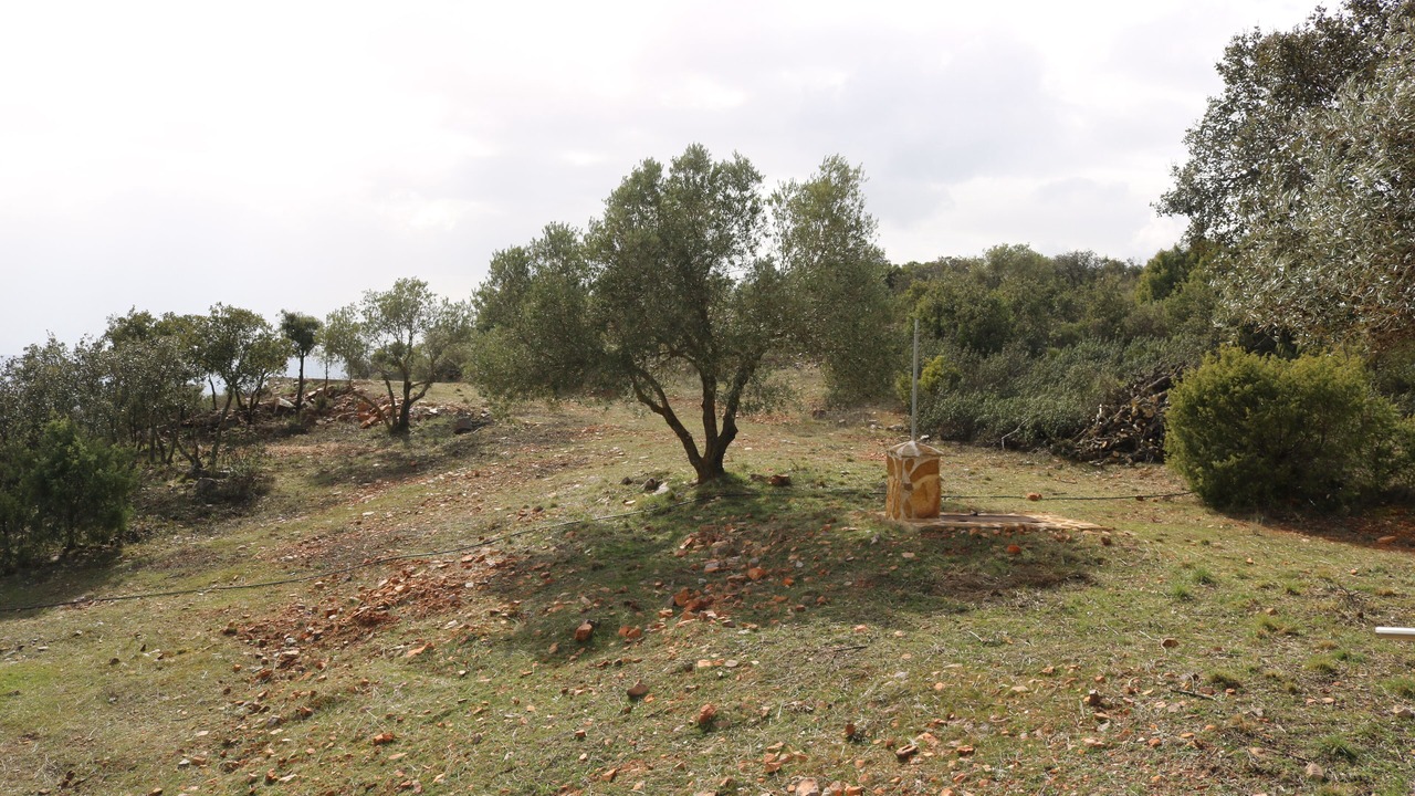 Photo of Others in Los Yebenes