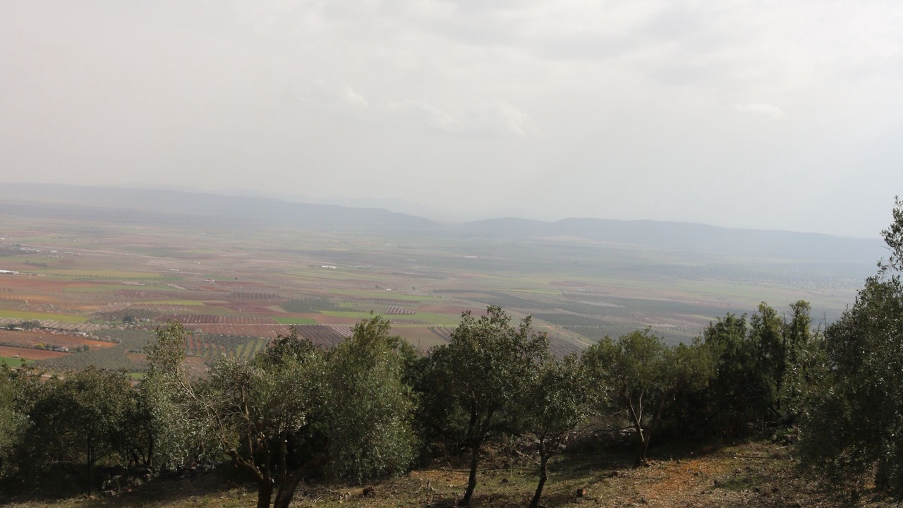 Photo of Others in Los Yebenes