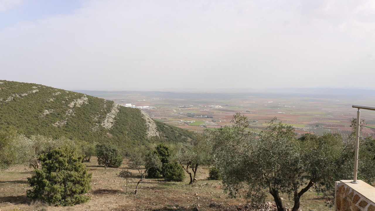 Photo of Others in Los Yebenes