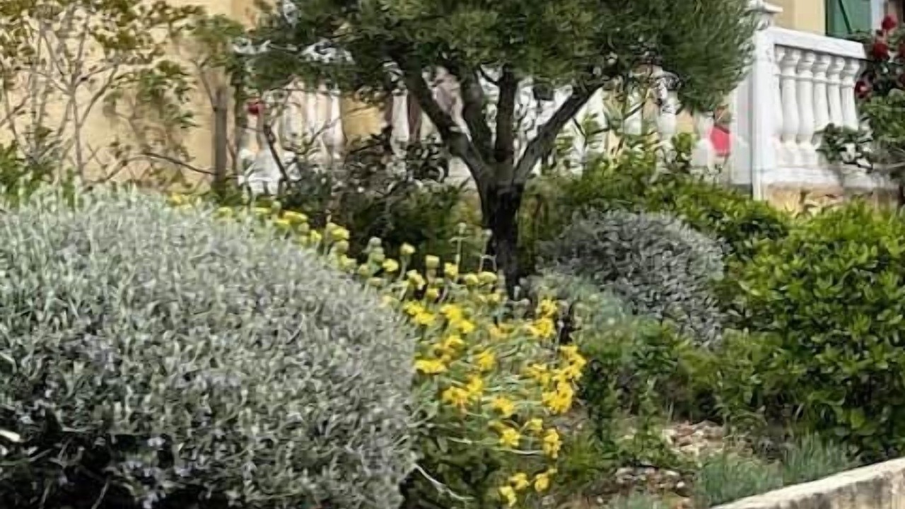 Photo of Outdoor in Verzeille