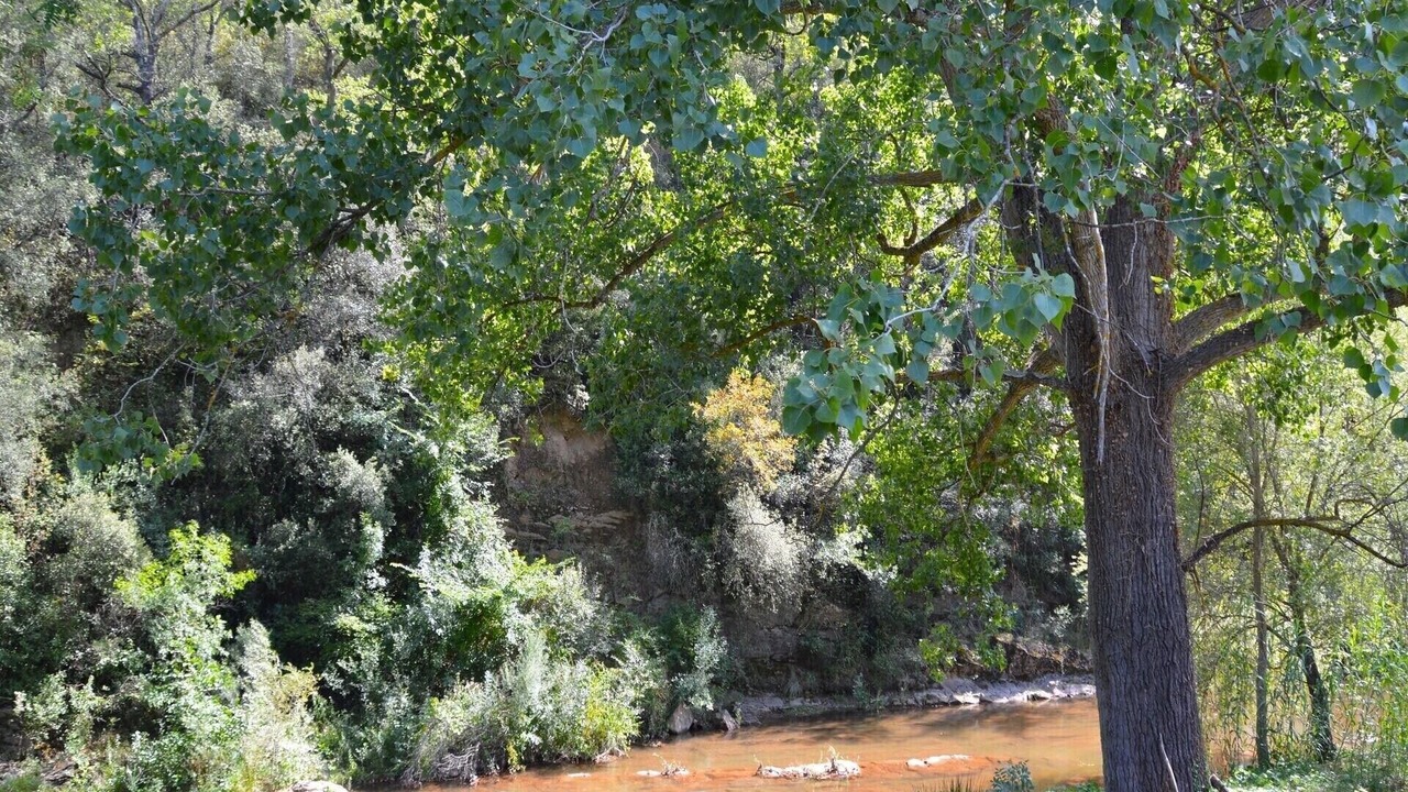 Photo of Others in Sant Llorenc de la Muga