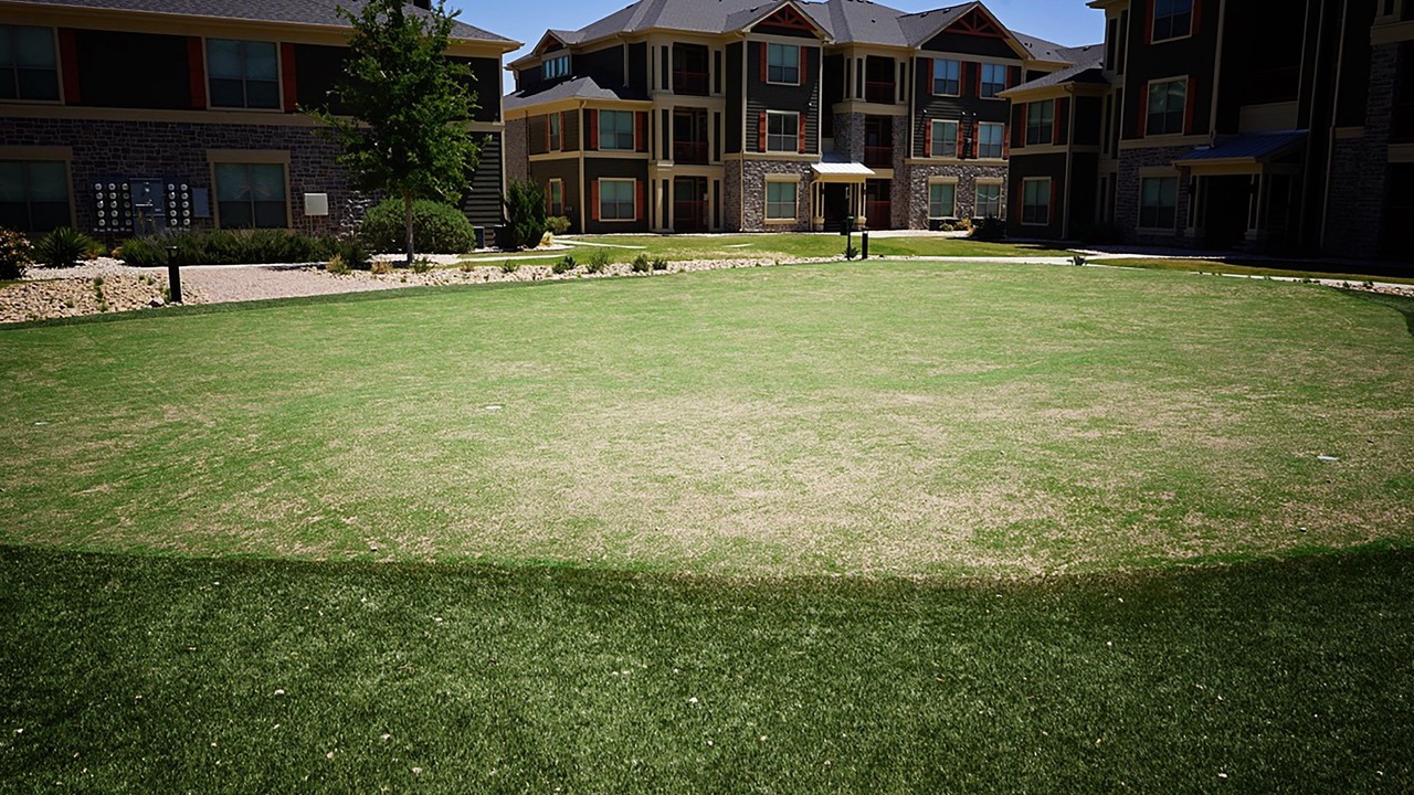 Photo of Outdoor in Odessa