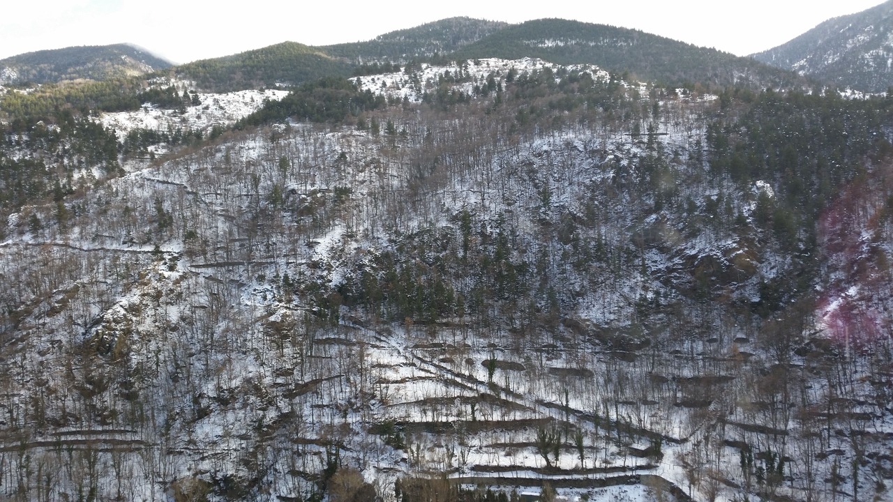 Photo of Others in Fontpedrouse