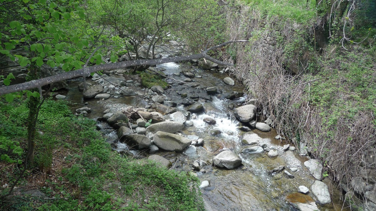 Photo of Others in Fontpedrouse