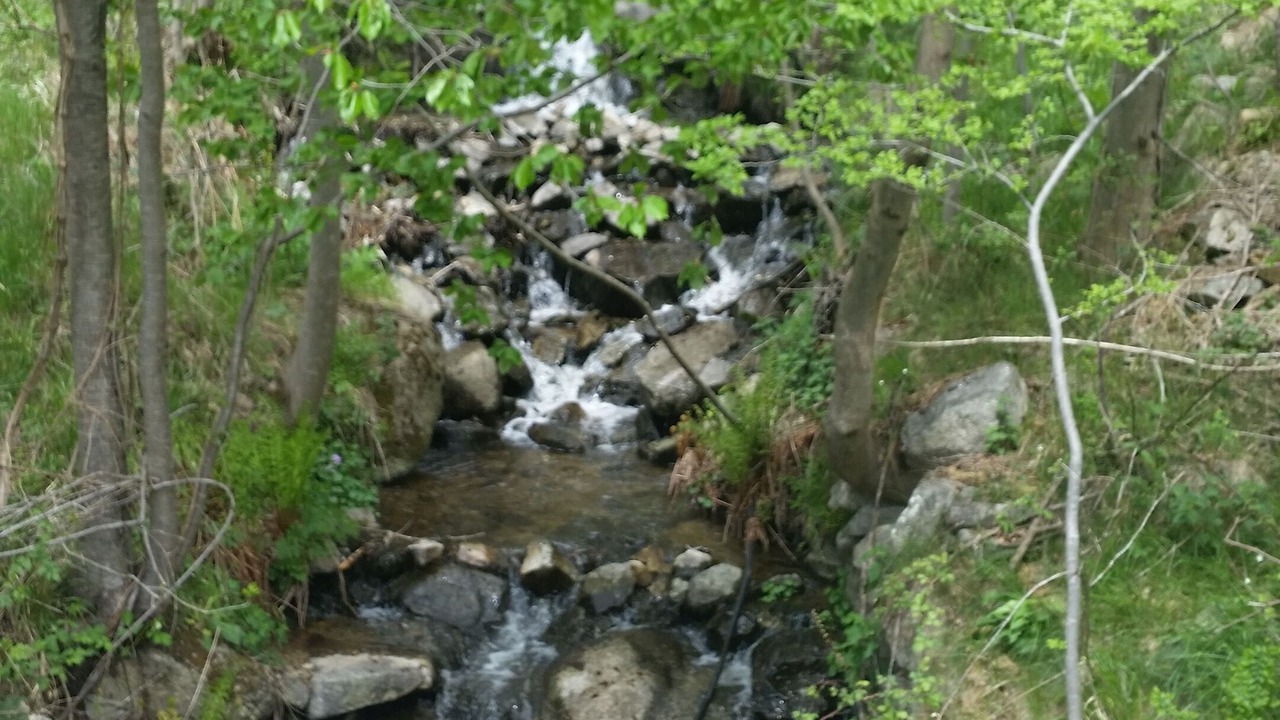 Photo of Others in Fontpedrouse