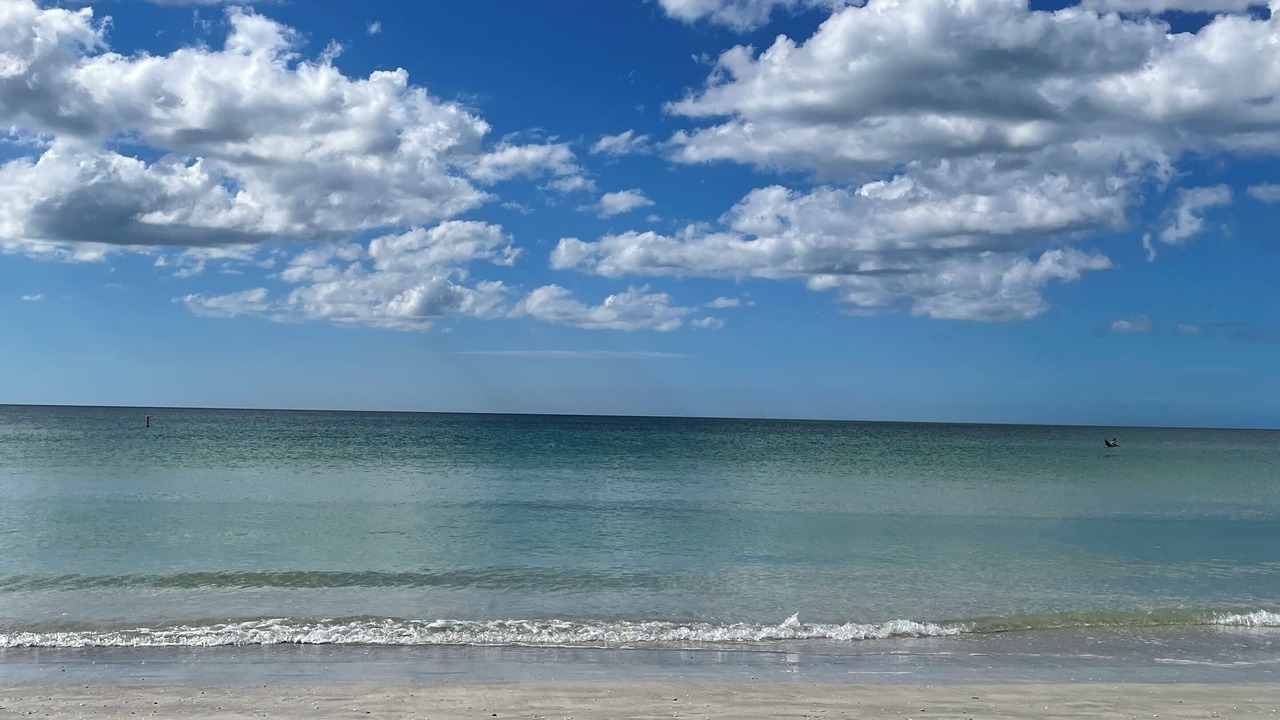 Photo of Others in Indian Rocks Beach