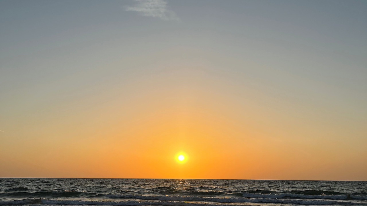 Photo of Others in Indian Rocks Beach