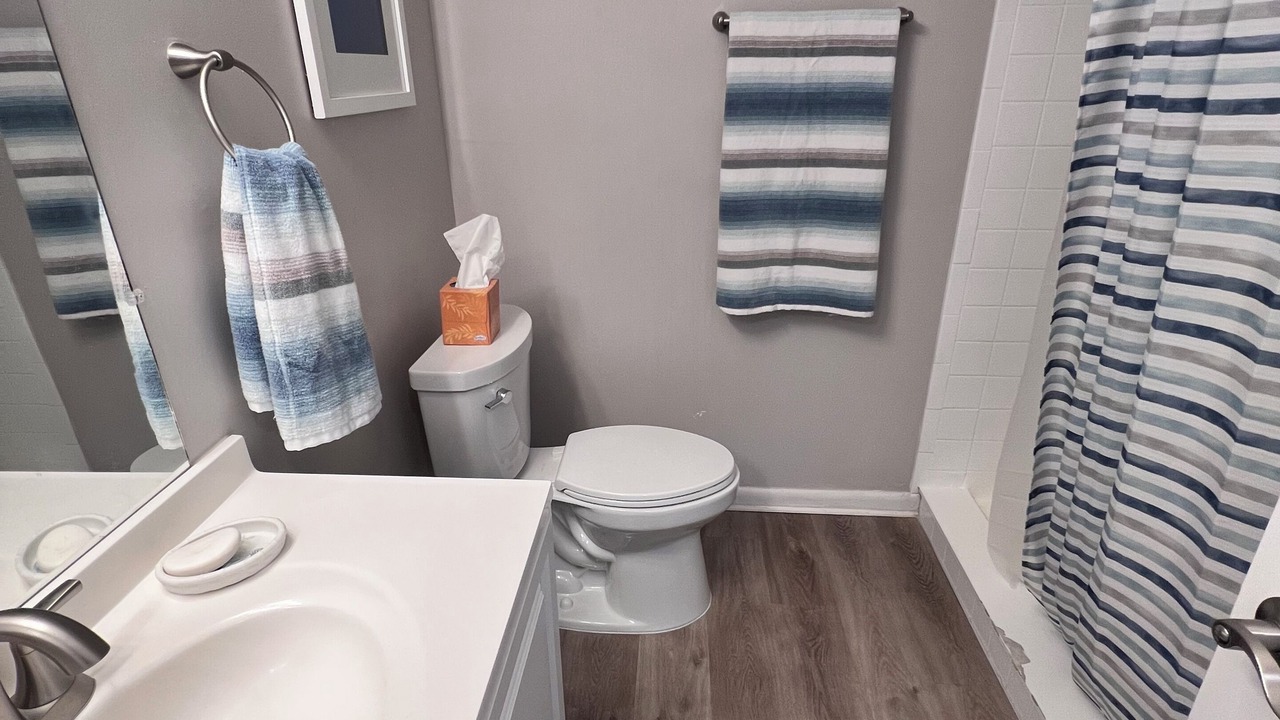 Photo of Bathroom in Indian Rocks Beach