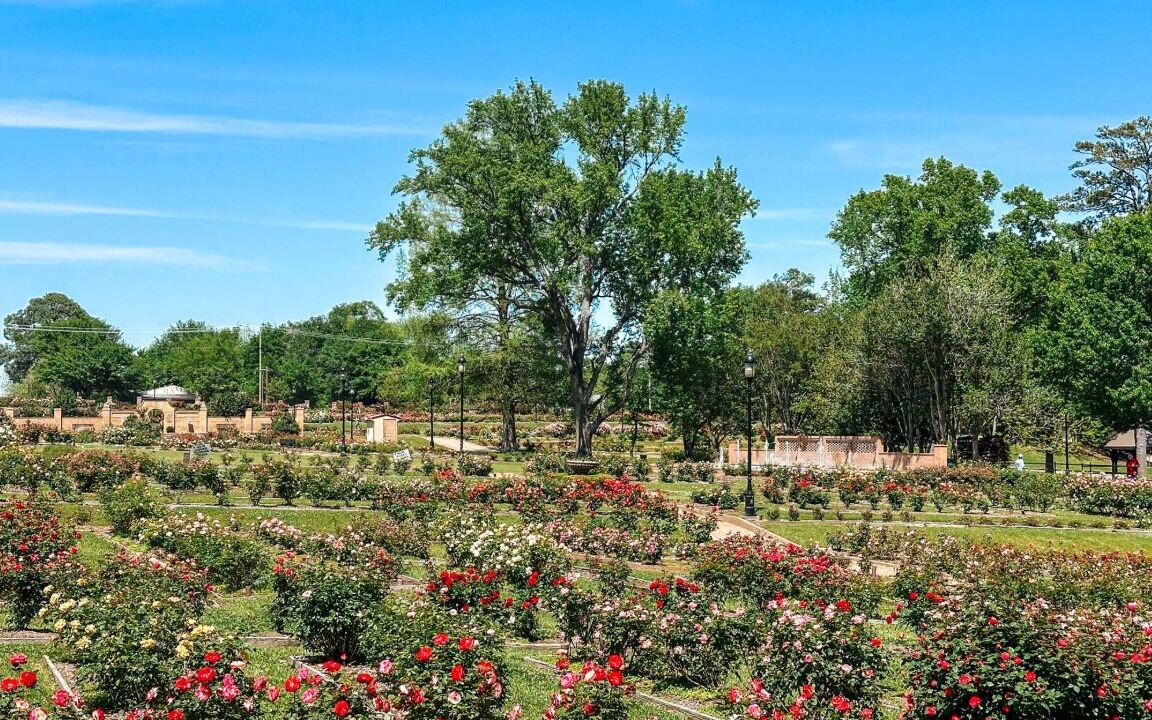 Photo of Outdoor in Tyler