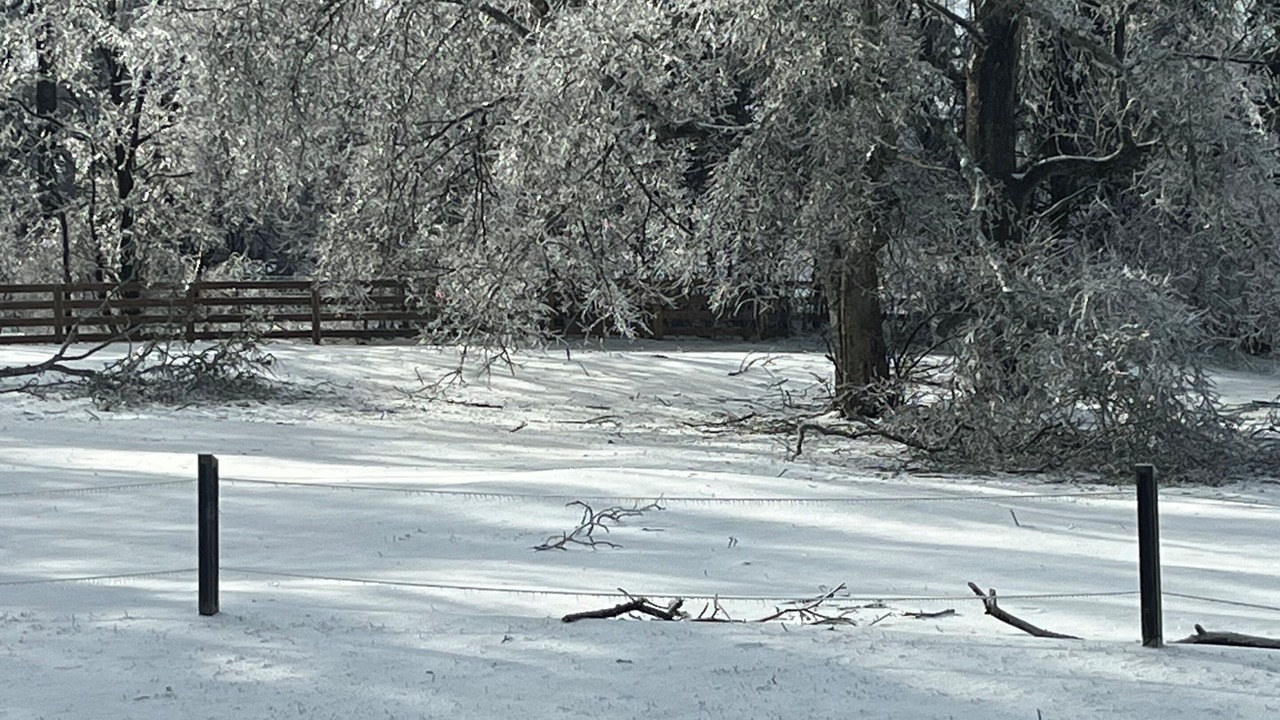 Photo of Others in Goodlettsville