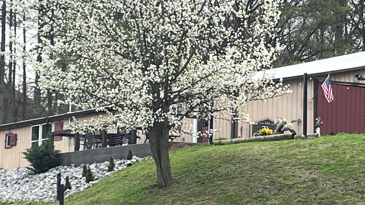 Photo of Outdoor in Goodlettsville