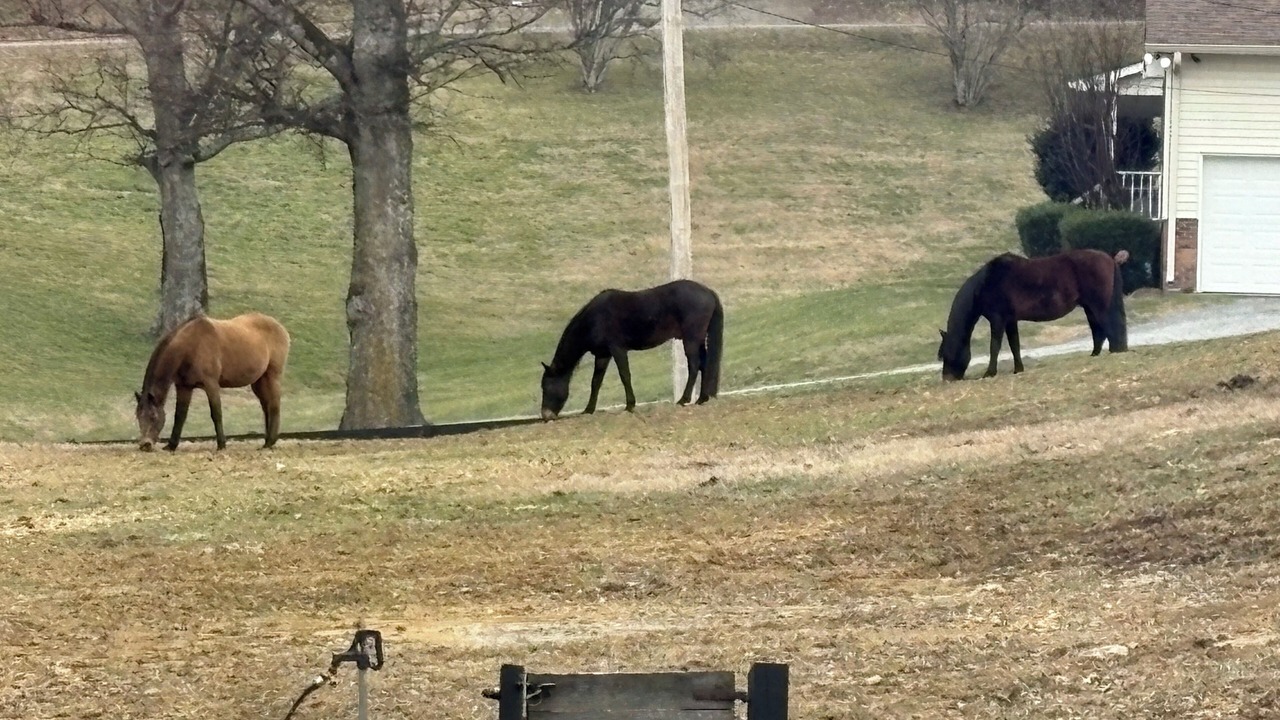 Photo of Others in Goodlettsville