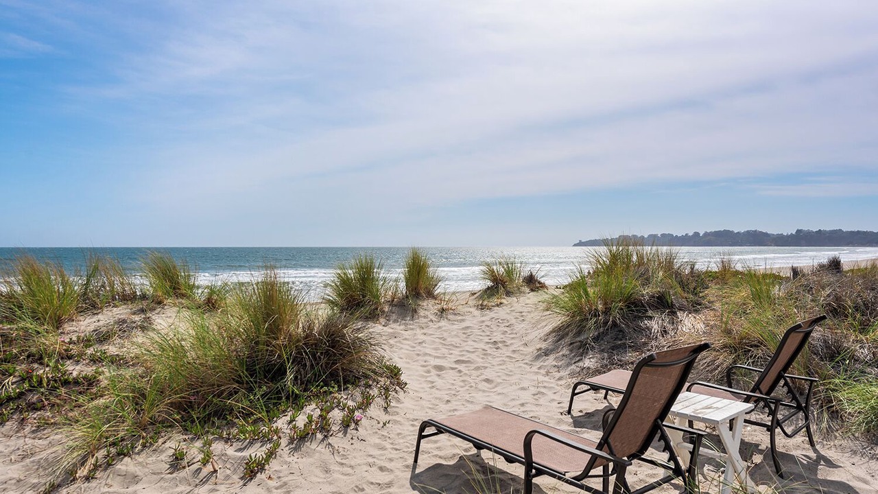 Photo of Others in Stinson Beach