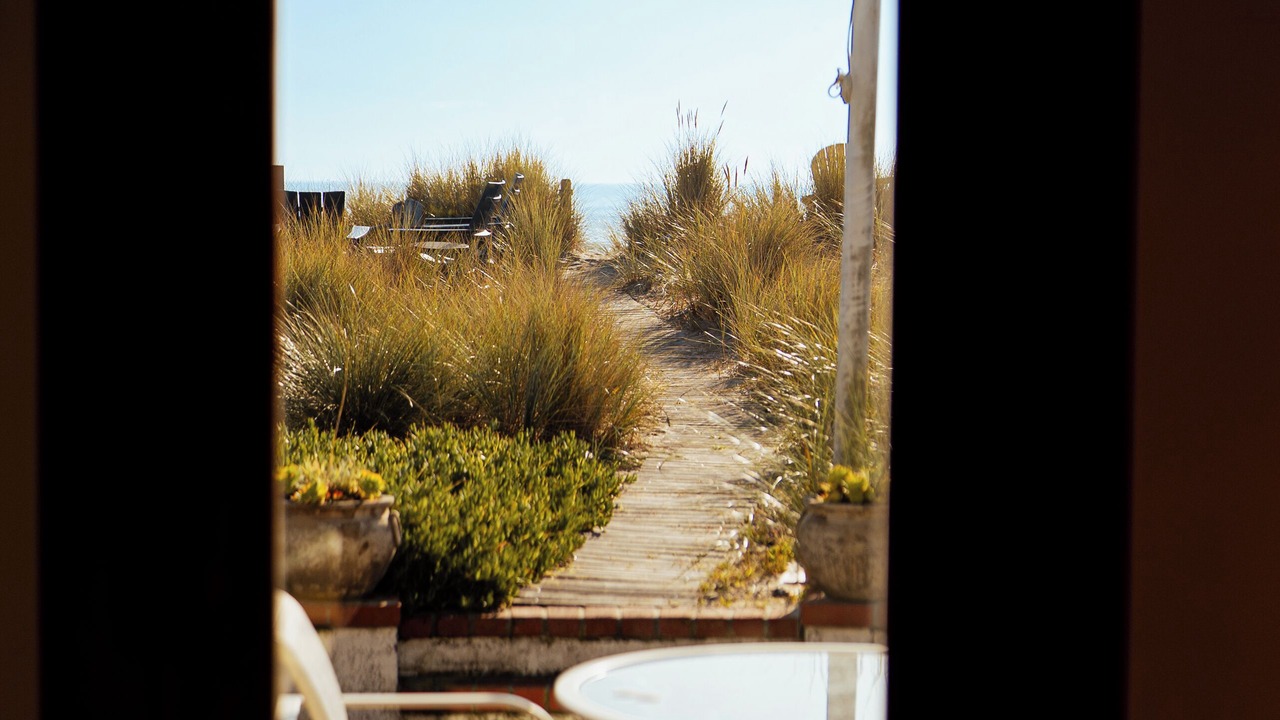 Photo of Others in Stinson Beach