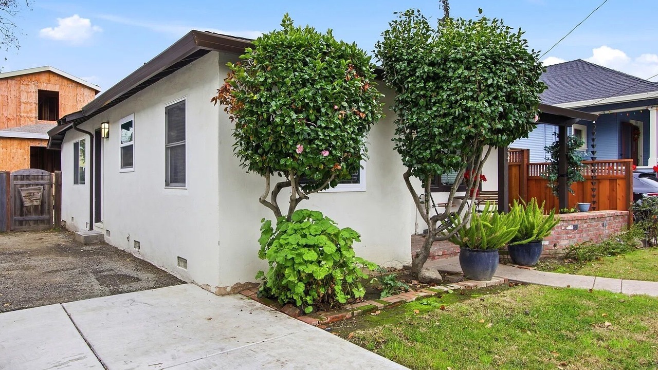 Photo of Outdoor in Willow Glen