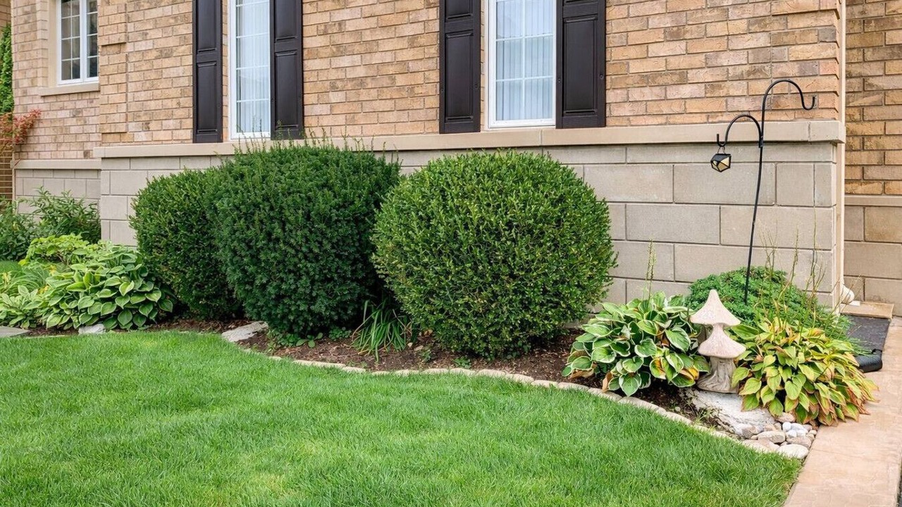 Photo of Outdoor in Brampton