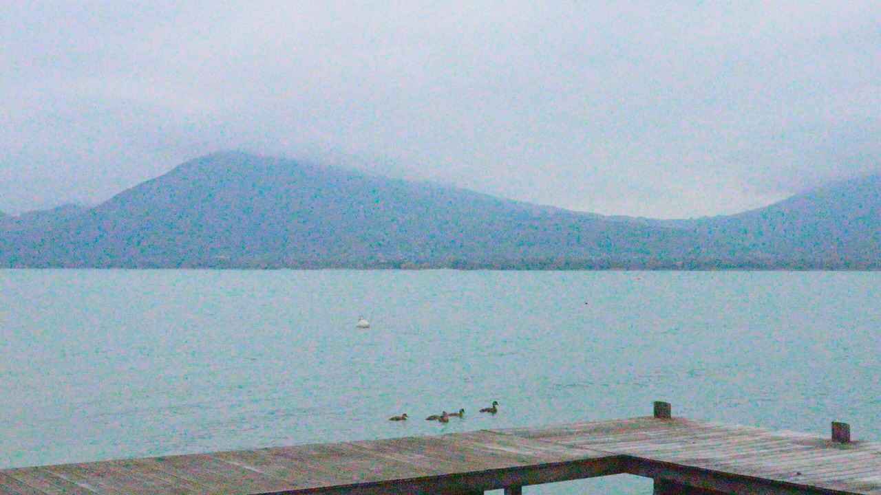 Photo of Others in Veyrier-du-Lac