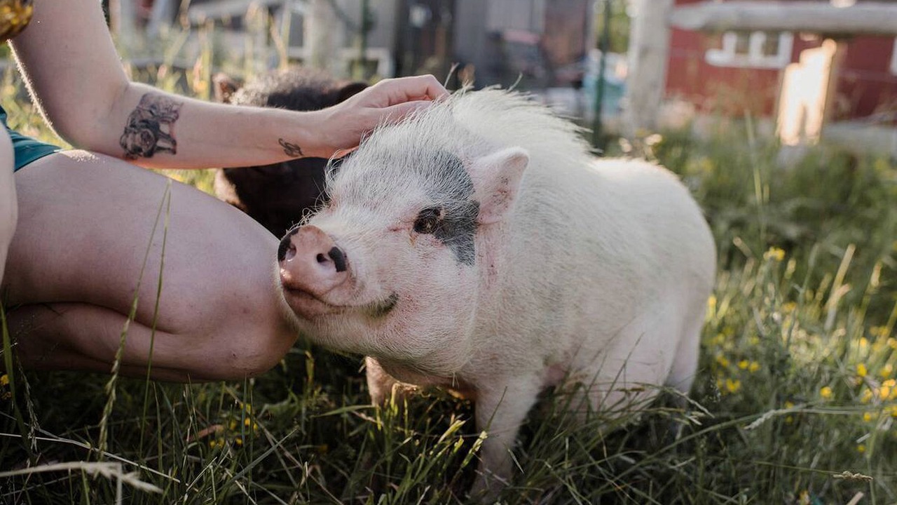 Photo of Others in Otonabee-South Monaghan