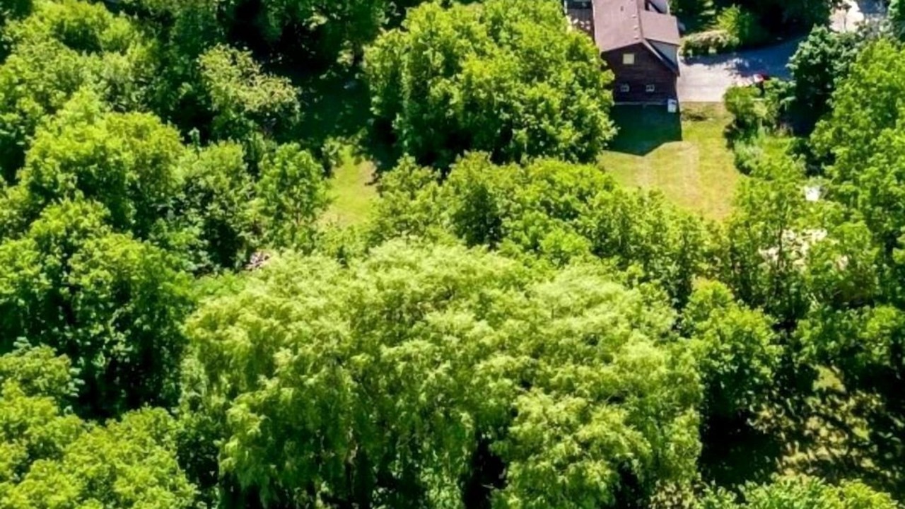 Photo of Outdoor in Gilford