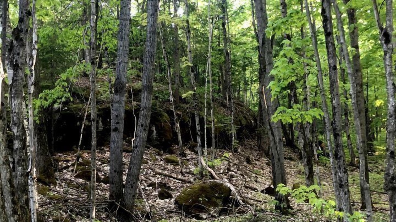 Photo of Others in Manitoulin District