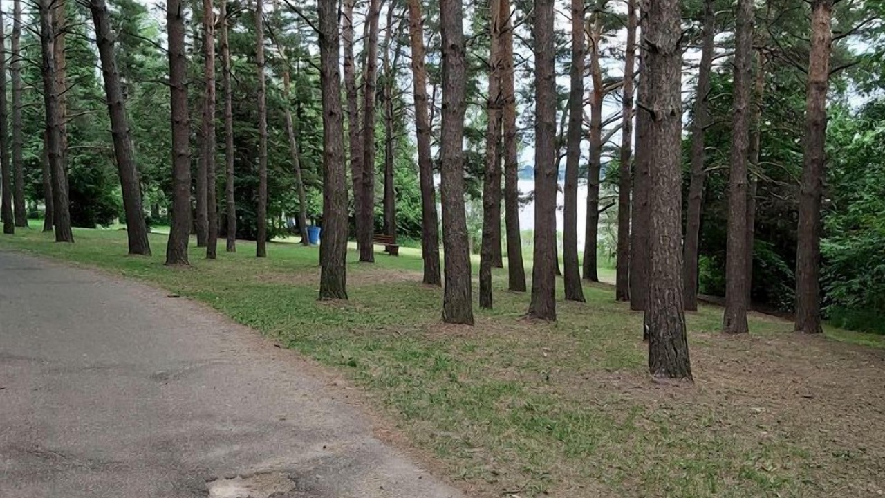 Photo of Others in Centre Wellington