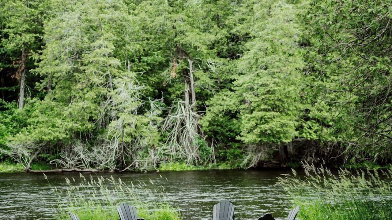 Photo of Outdoor in Lanark