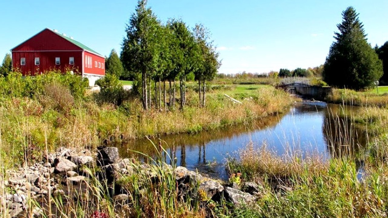 Photo of Outdoor in Grey Highlands