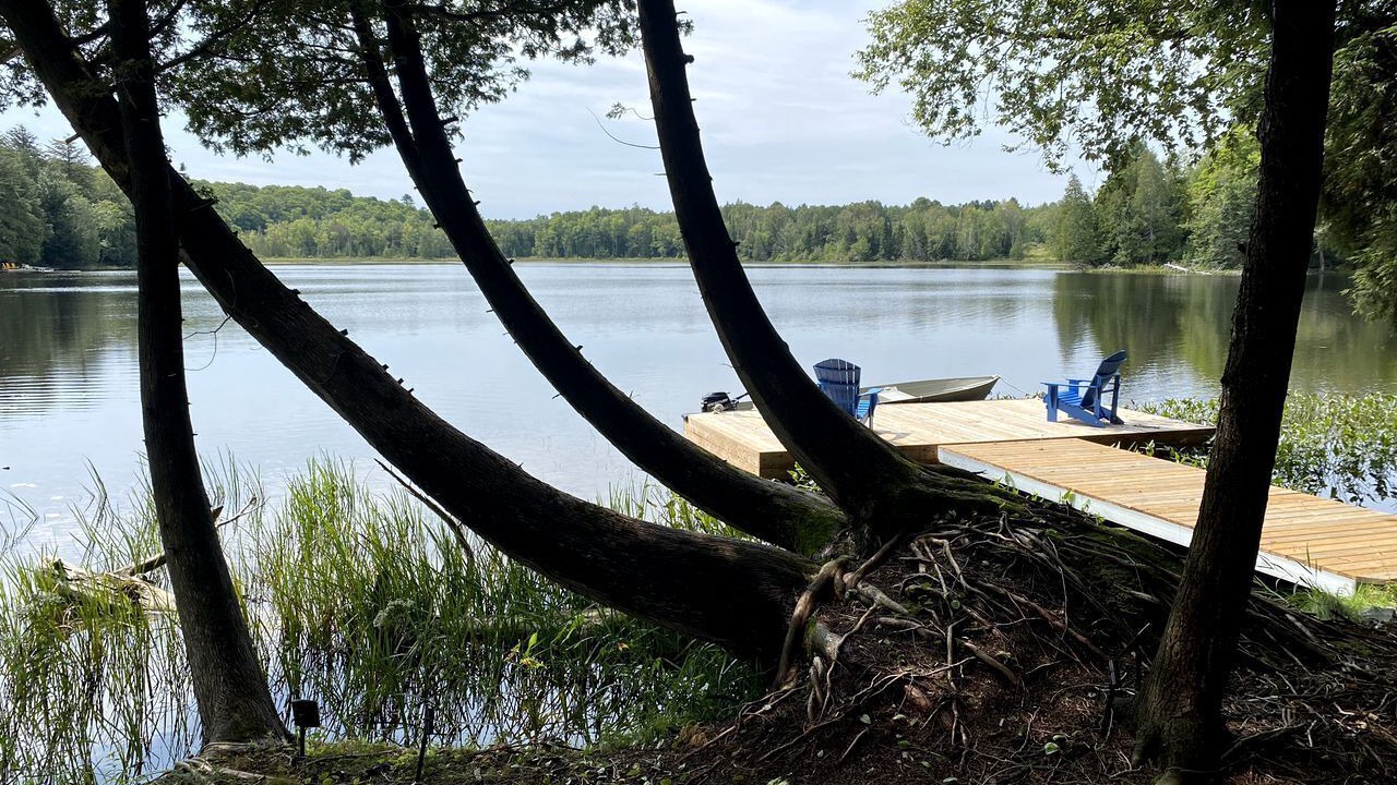Photo of Outdoor in McDougall