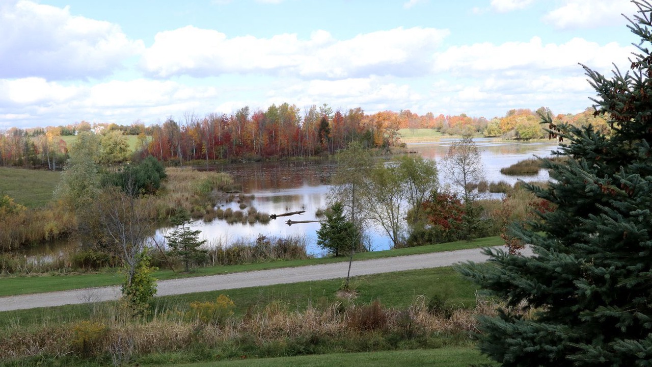 Photo of Others in Schomberg