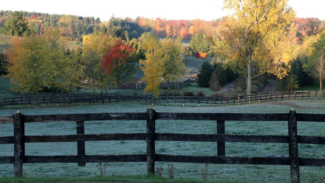 Photo of Outdoor in Schomberg