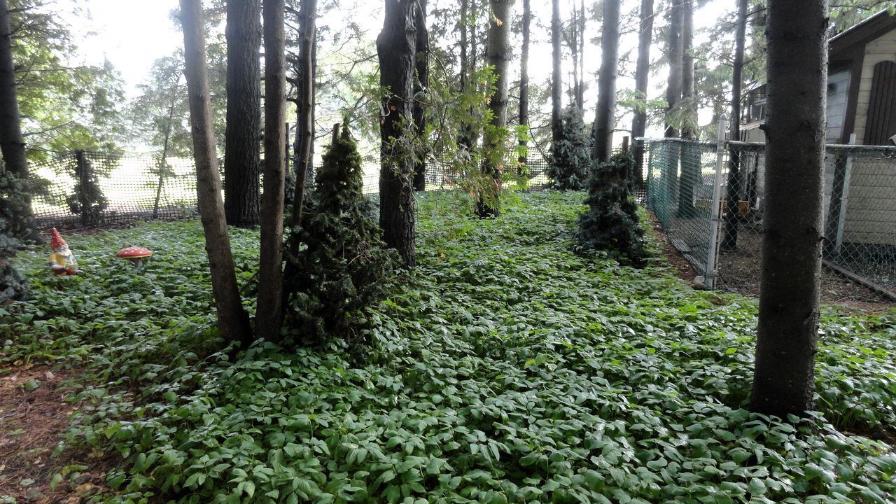 Photo of Outdoor in Mount Forest