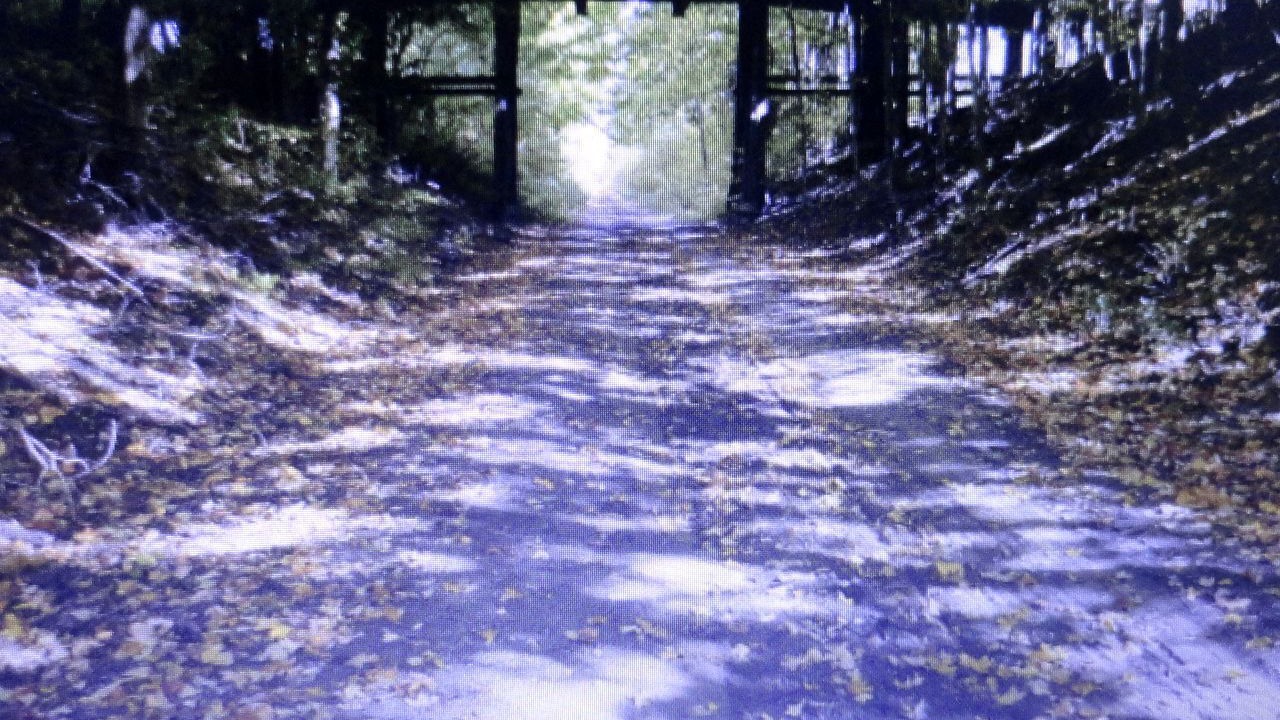 Photo of Others in Mount Forest