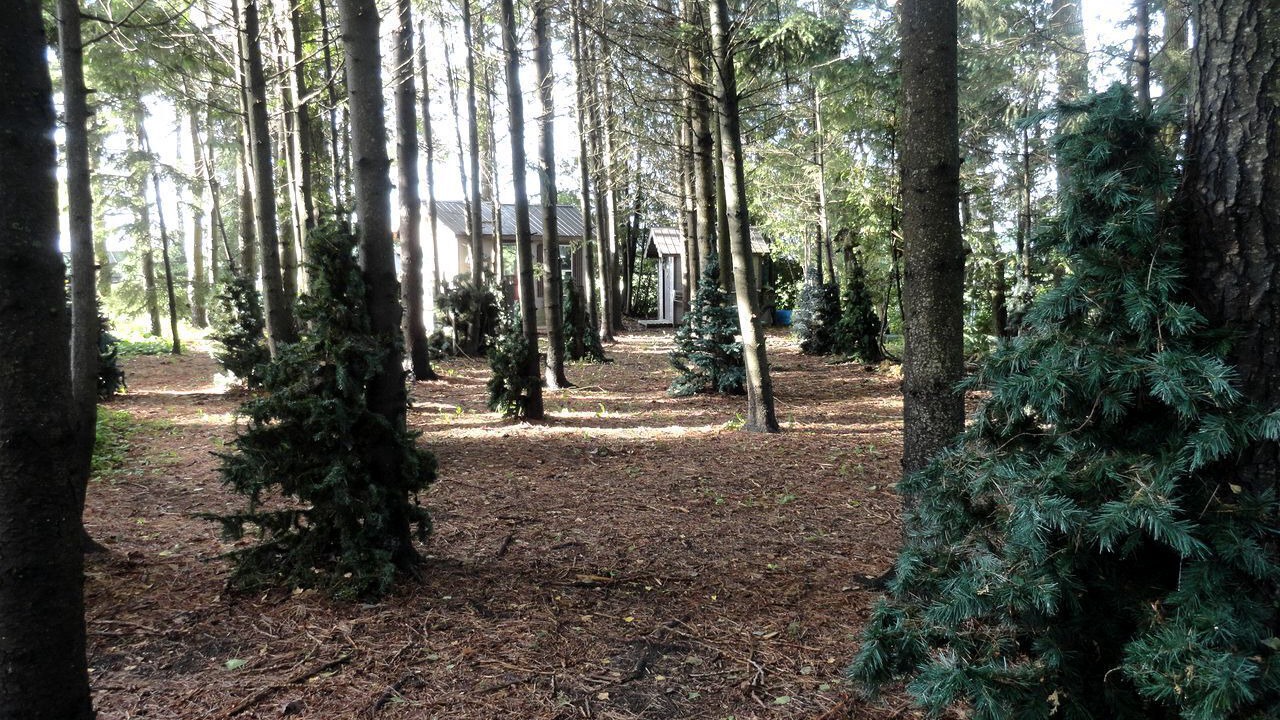 Photo of Outdoor in Mount Forest