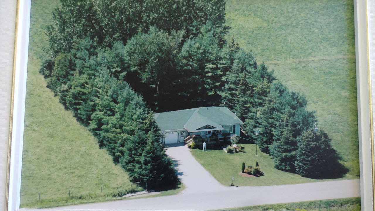 Photo of Others in Mount Forest