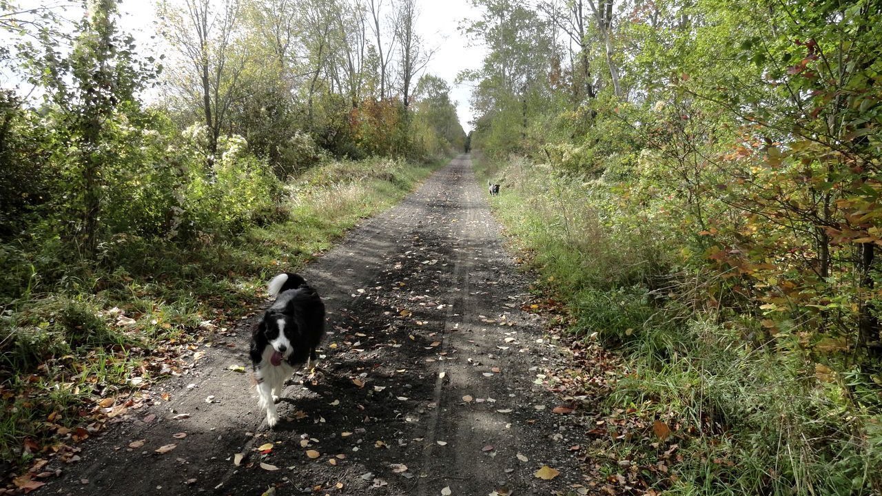 Photo of Others in Mount Forest