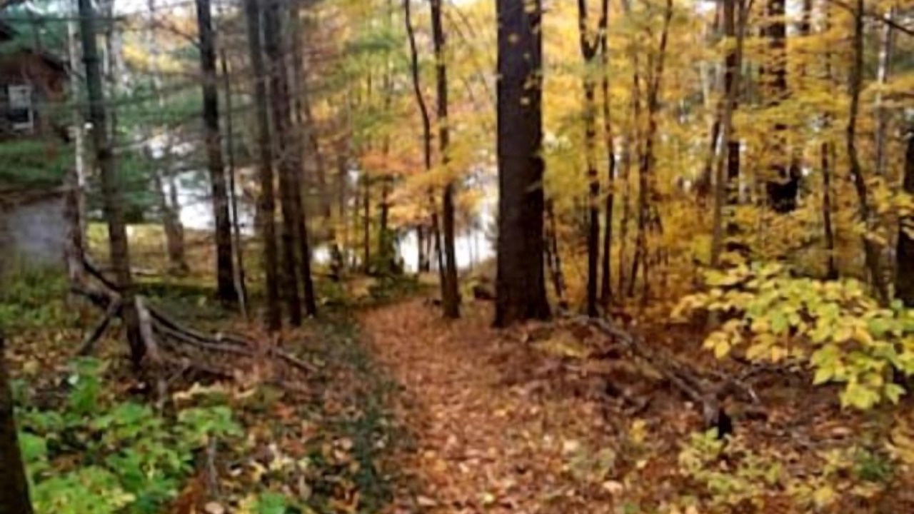 Photo of Others in McKellar