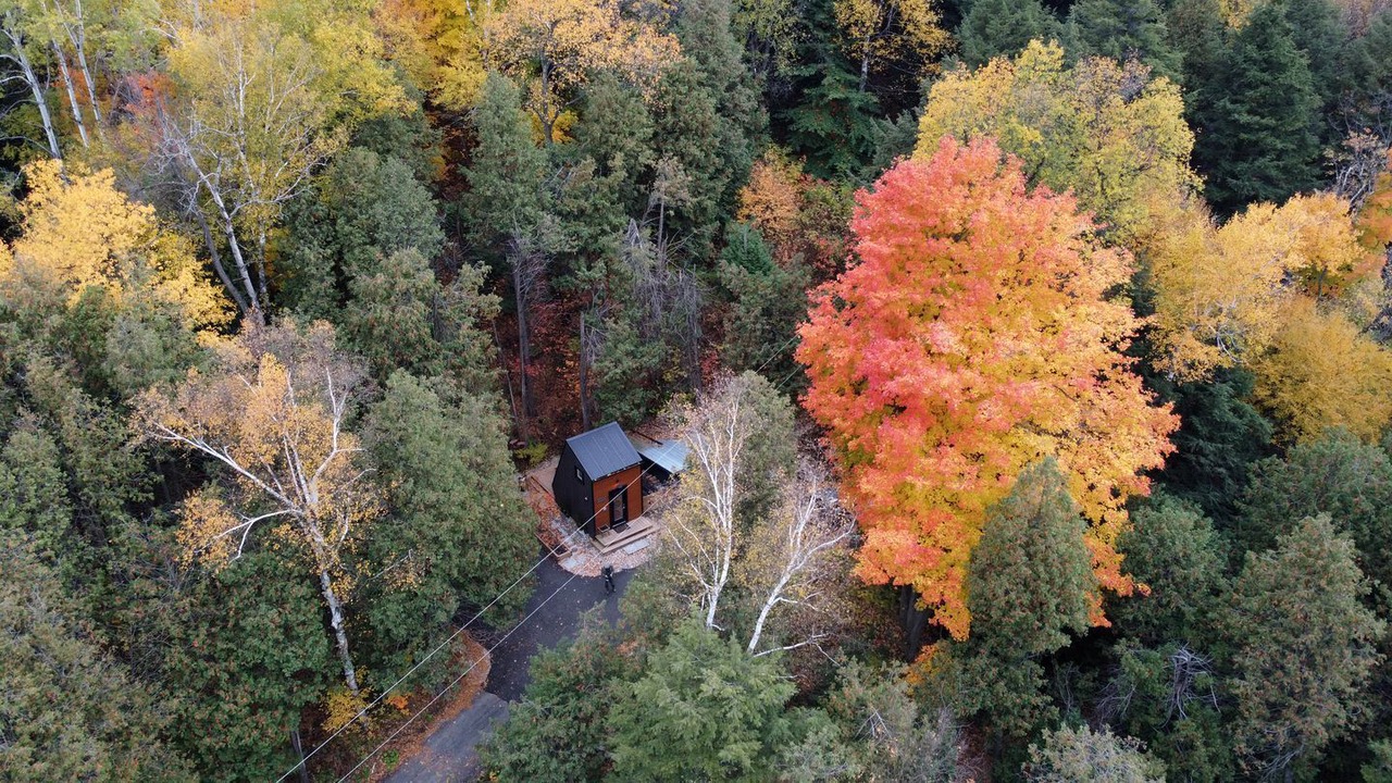 Photo of Outdoor in Acton