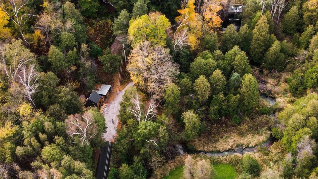 Photo of Outdoor in Acton