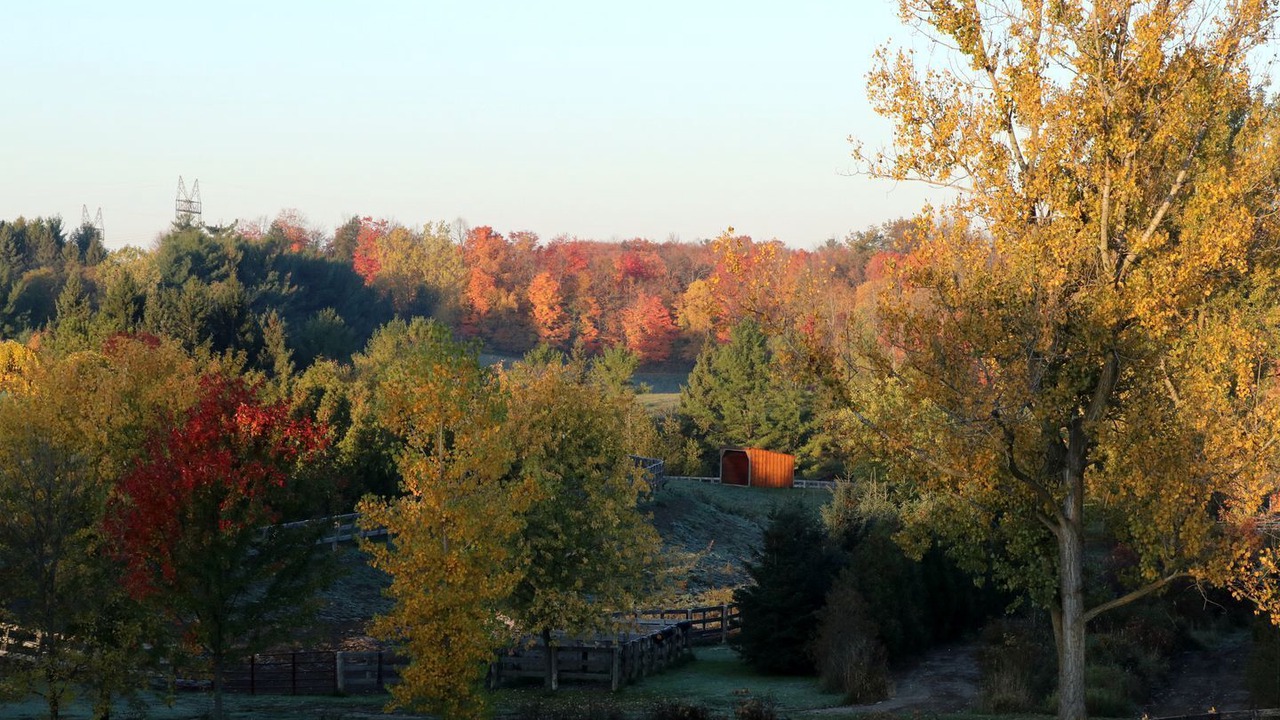 Photo of Others in Schomberg