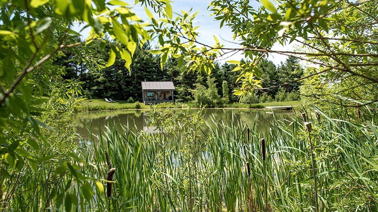 Photo of Outdoor in Schomberg