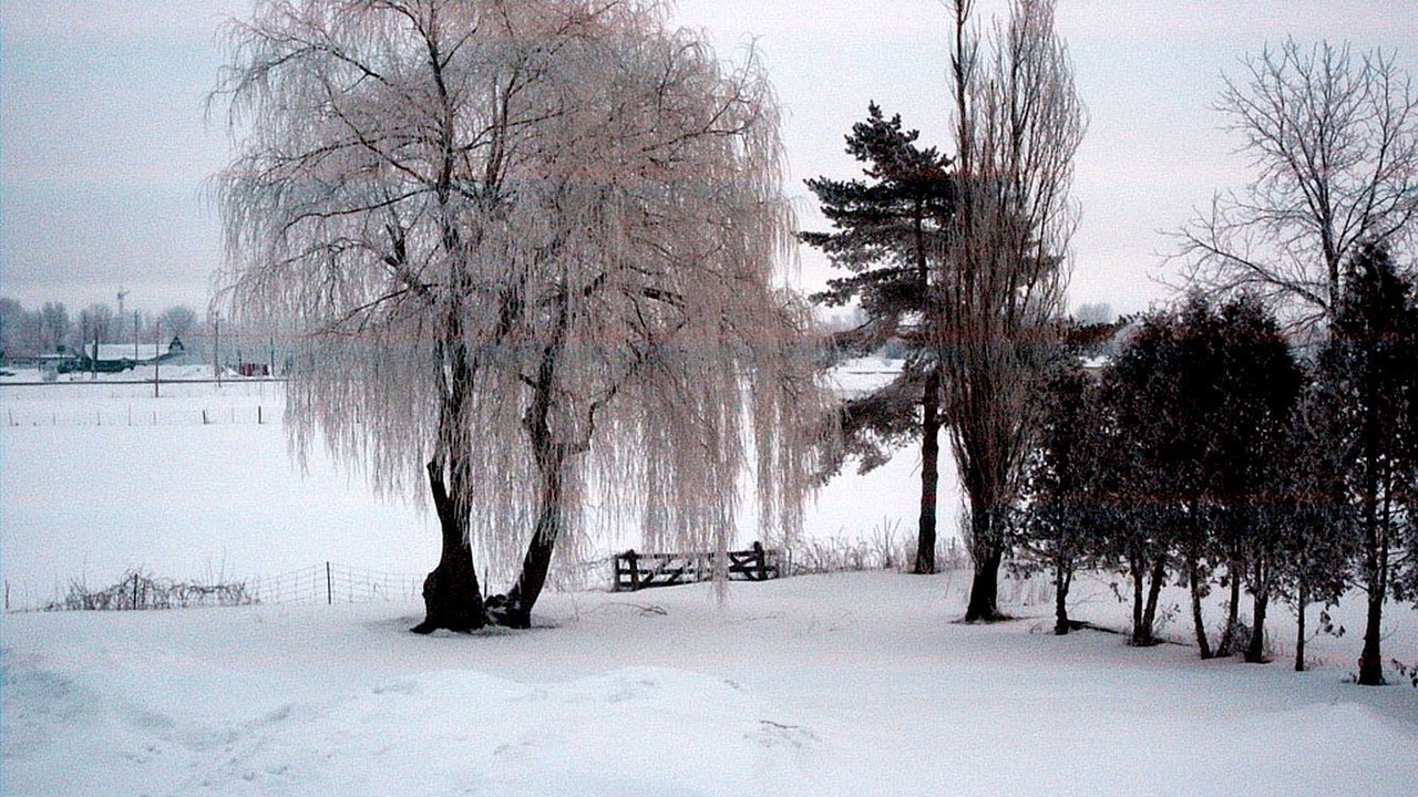 Photo of Others in North Dundas