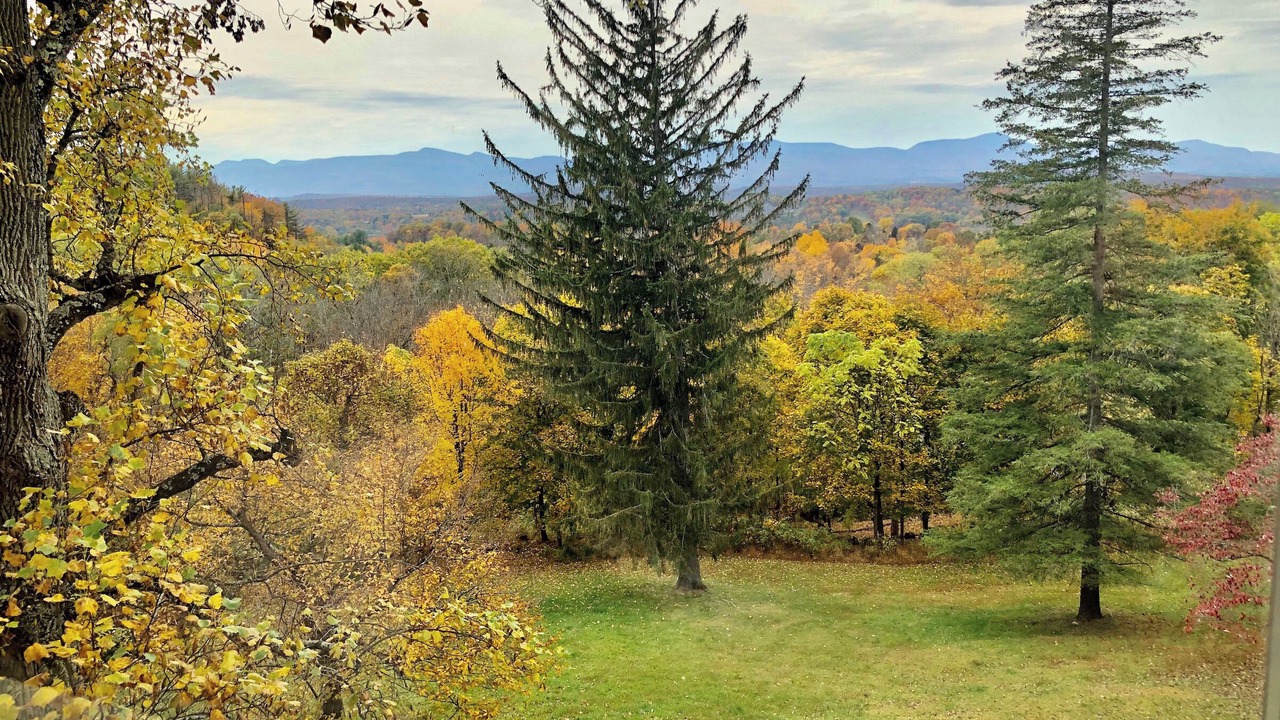 Photo of Others in Hudson