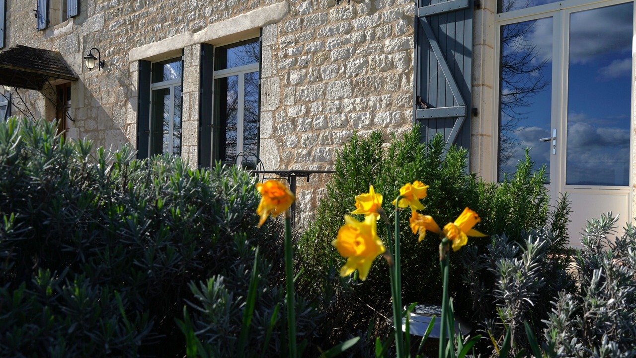 Photo of Outdoor in Andillac