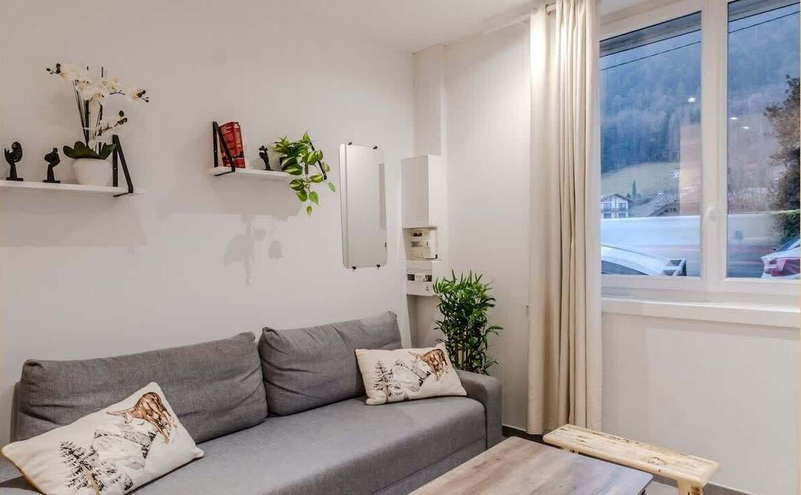 Photo of Livingroom in Sevrier